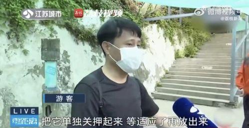 网红张焕吃瓜是真的吗,真相还是炒作？