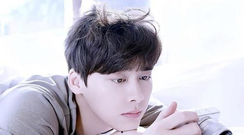 圈内爆料杨紫肖战,揭秘娱乐圈的甜蜜搭档幕后故事